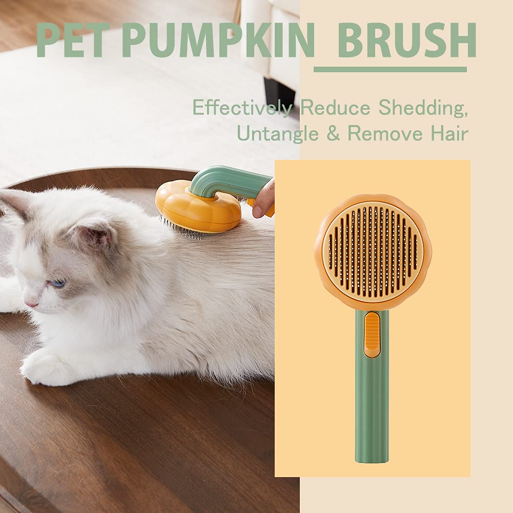 Cepillo Autolimpiable Calabaza para Perros y Gatos – detalle 2 | Pawvora