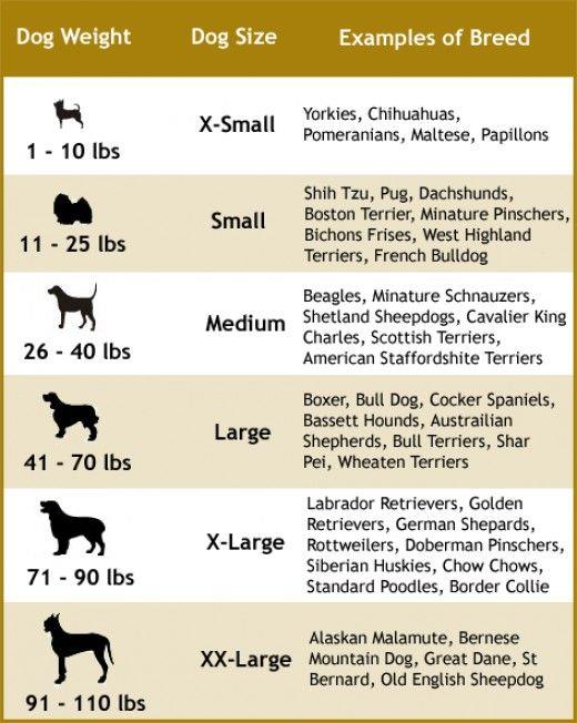 Disfraz de Hot Dog para Perro Pequeño – detalle 2 | Pawvora