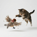 Pájaro Aleteando Interactivo para Gatos | Pawvora