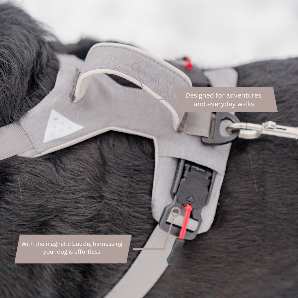 Arnés Magnético Antitirones con Asa – detalle 4 | Pawvora