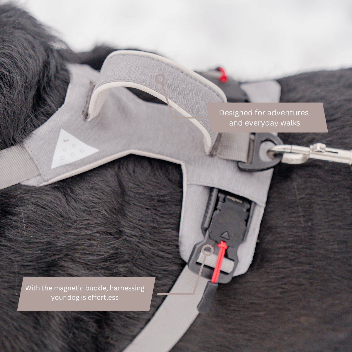 Arnés Magnético Antitirones con Asa – detalle 4 | Pawvora