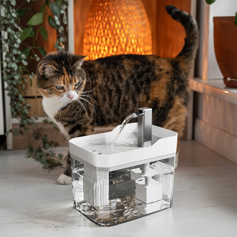 Fuente de Agua para Mascotas con Filtro – detalle 4 | Pawvora