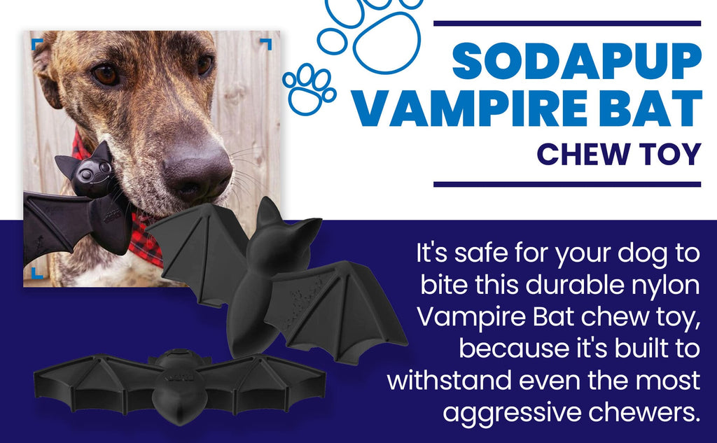 Murciélago Vampiro 2 en 1 – detalle 6 | Pawvora