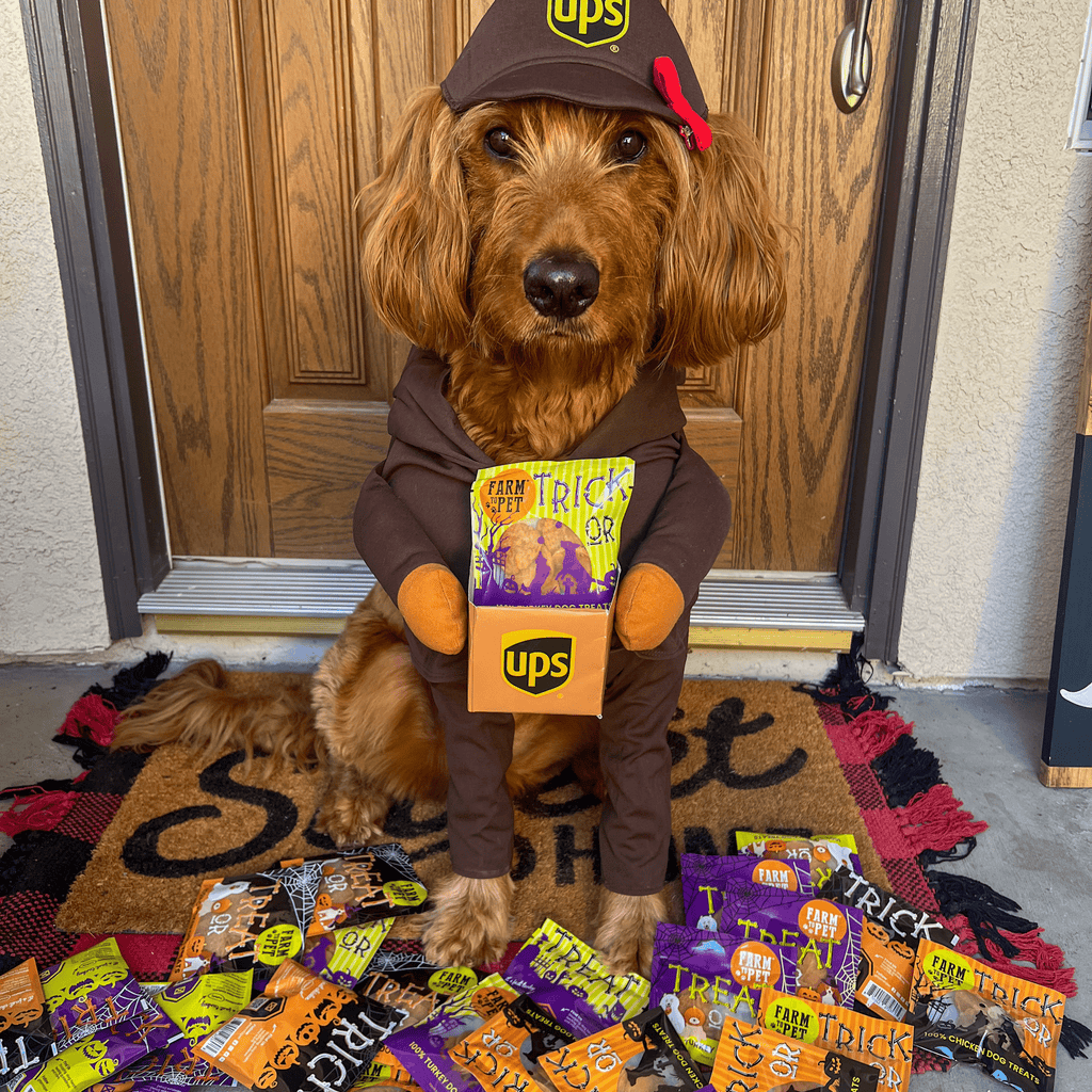 Pack de Snacks de Halloween para Perros – detalle 10 | Pawvora