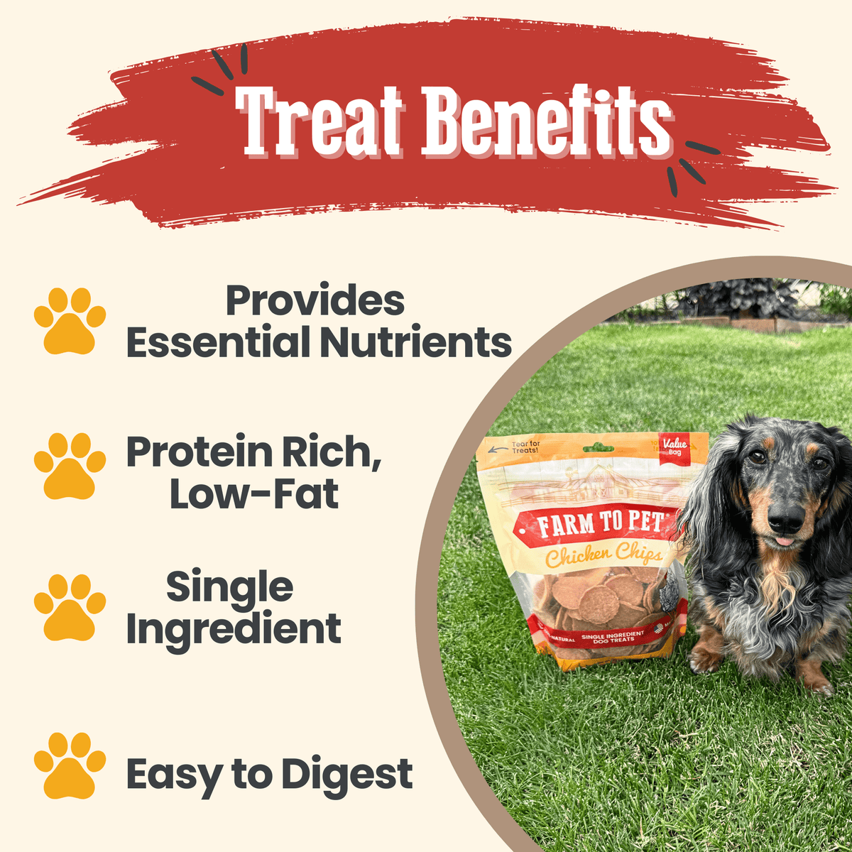 Chips de Pollo 100% Natural para Perros – Un Solo Ingrediente