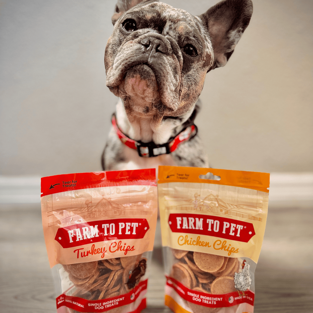 Dúo de Chips de Pavo y Pollo para Perros – detalle 4 | Pawvora