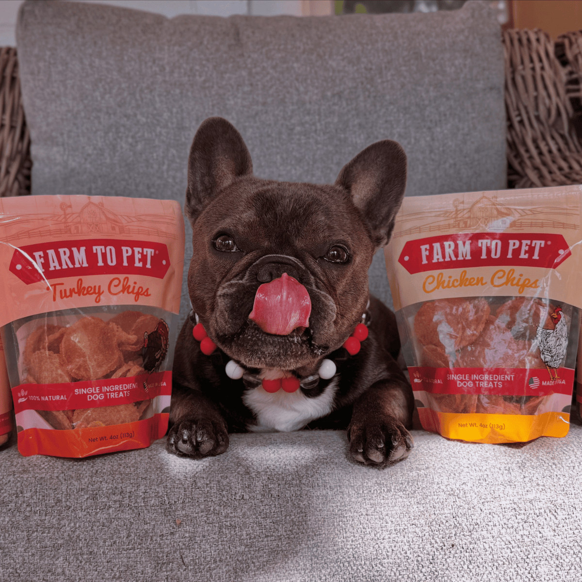 Dúo de Chips de Pavo y Pollo para Perros – detalle 3 | Pawvora