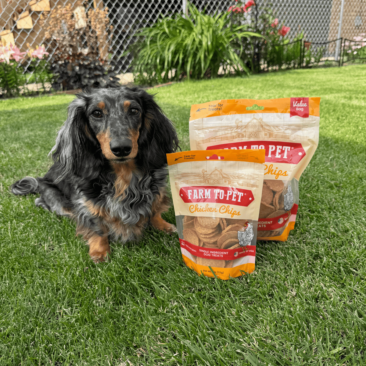 Chips de Pollo 100% Natural para Perros – detalle 10 | Pawvora