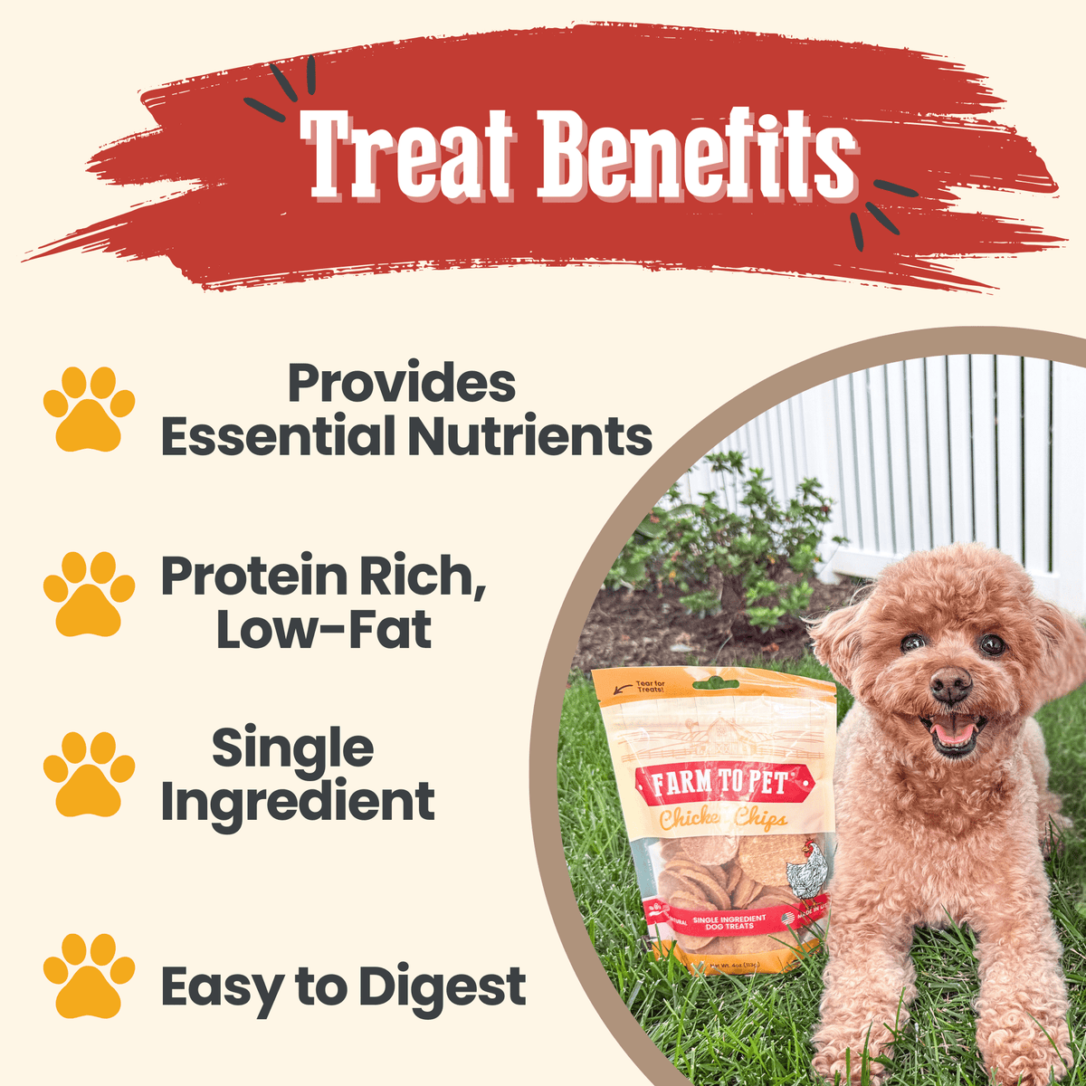 Chips de Pollo 100% Natural para Perros – detalle 6 | Pawvora