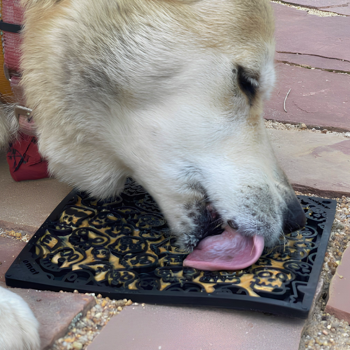 Alfombrilla para Lamer para Perros – detalle 7 | Pawvora