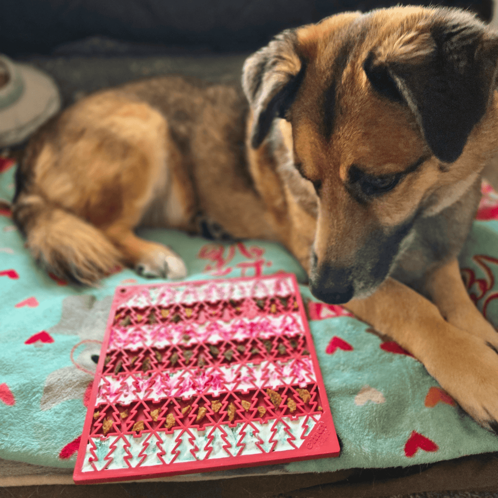 Alfombrilla para Lamer para Perros – Calma y Comida Más Lenta