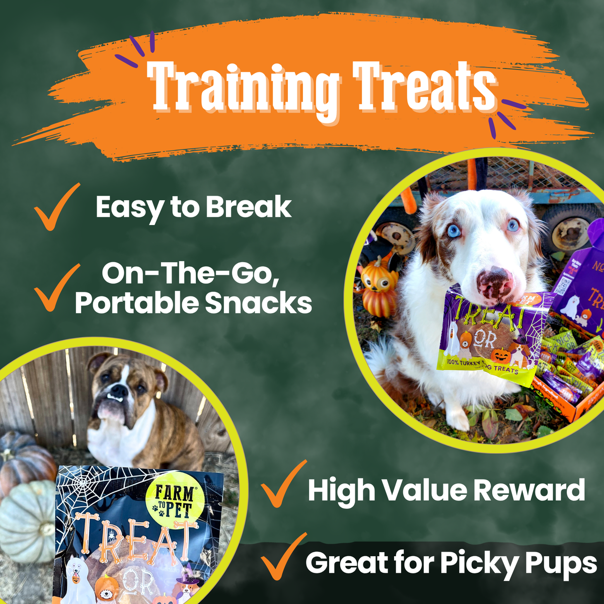 Pack de Snacks de Halloween para Perros – detalle 7 | Pawvora