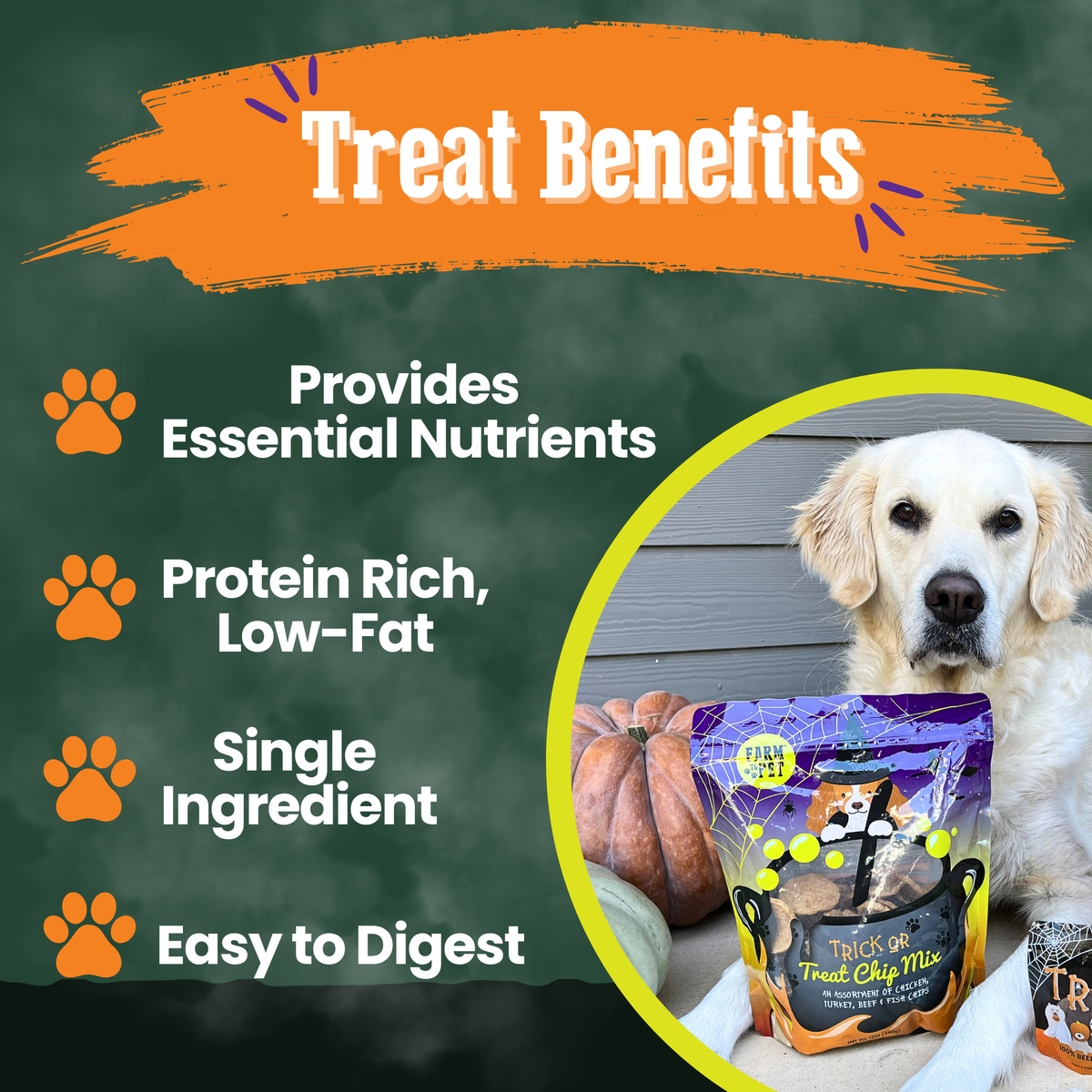 Mix de Chips Trick or Treat – Premios de Halloween para Perros