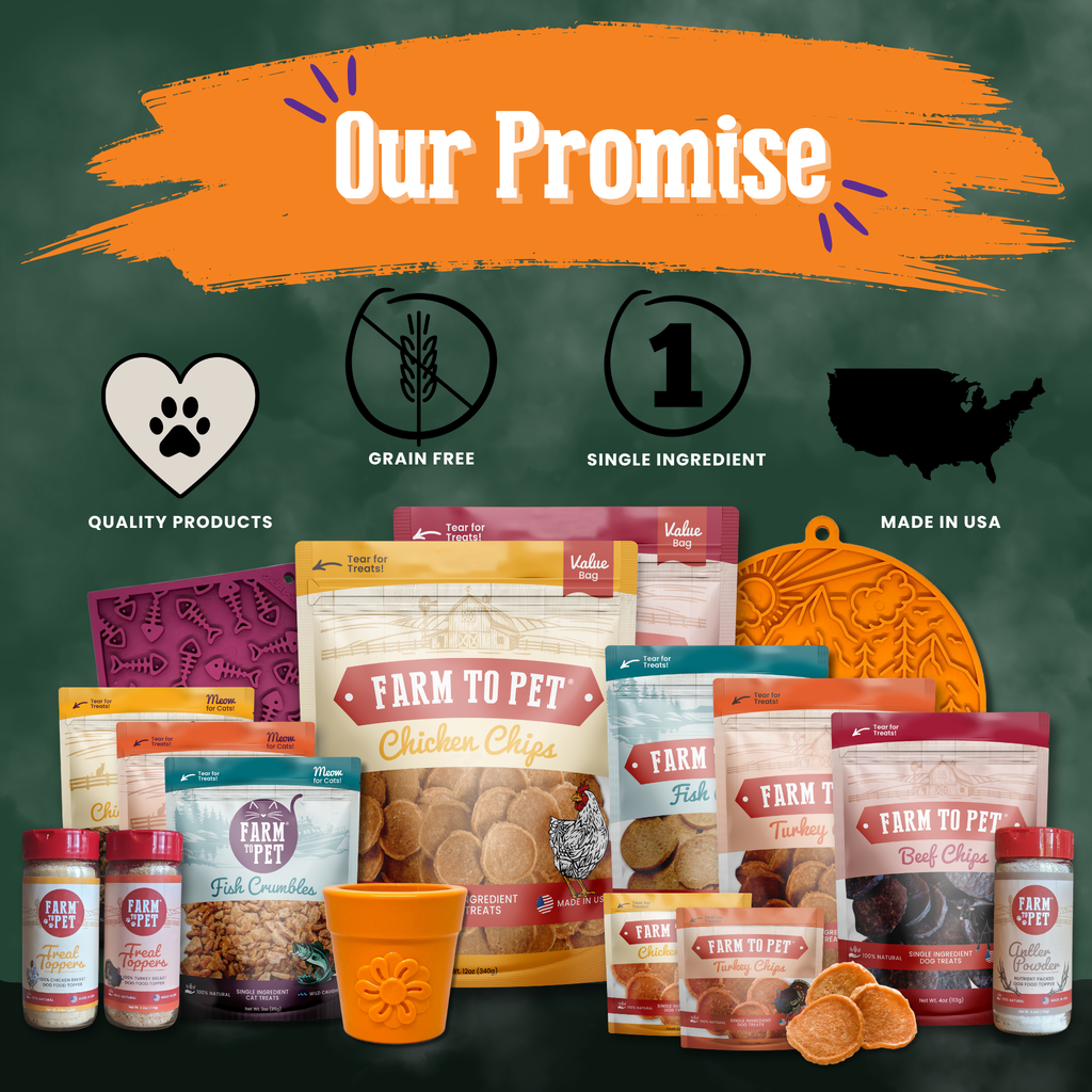 Pack de Snacks de Halloween para Perros – Bolsitas Individuales