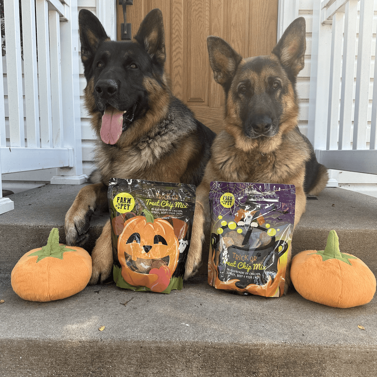 Mix de Chips Trick or Treat – detalle 5 | Pawvora