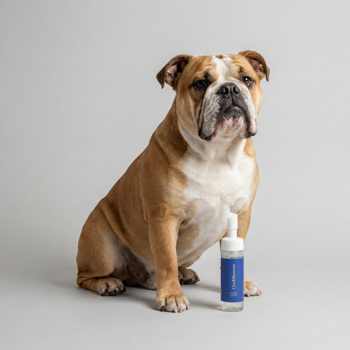 Espuma Limpiadora de Patas con Cepillo – detalle 2 | Pawvora