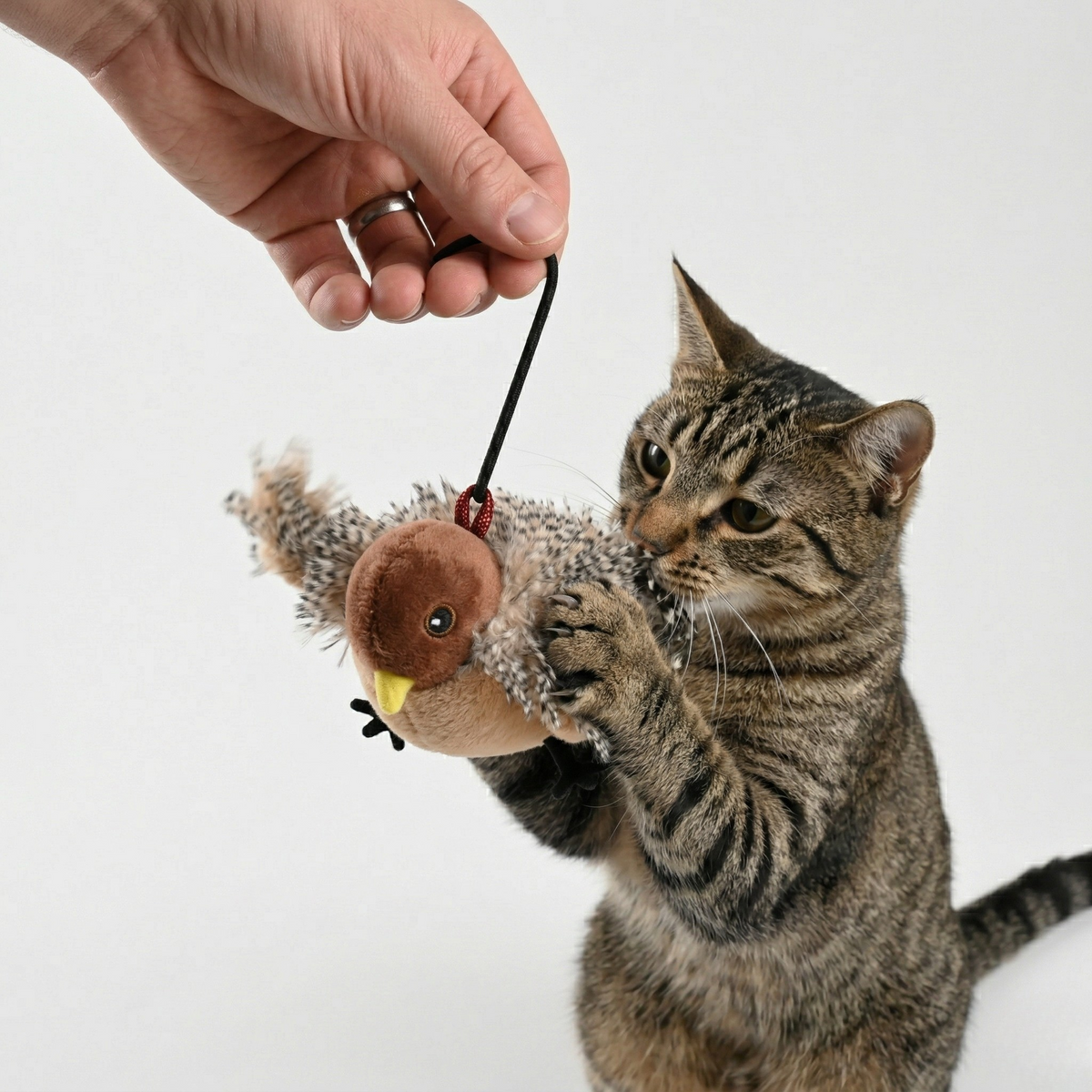 Pájaro Aleteando Interactivo para Gatos – detalle 5 | Pawvora