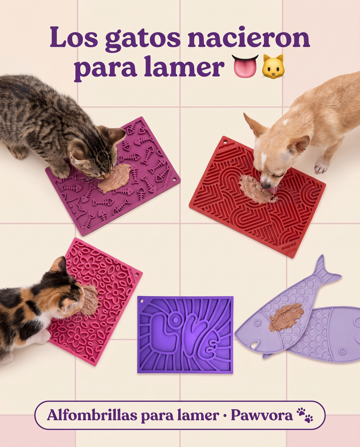 Gatos y perro con alfombrillas para lamer