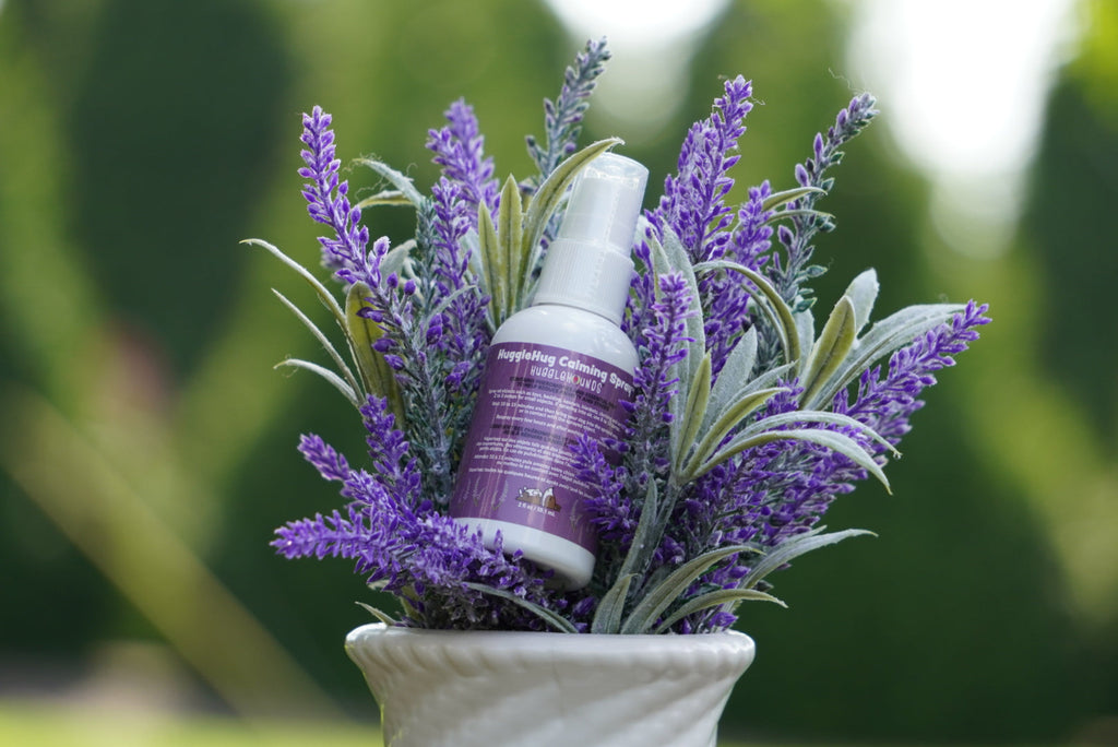 Hueso de Peluche HuggleHug con Spray Calmante de Lavanda – detalle 7 | Pawvora