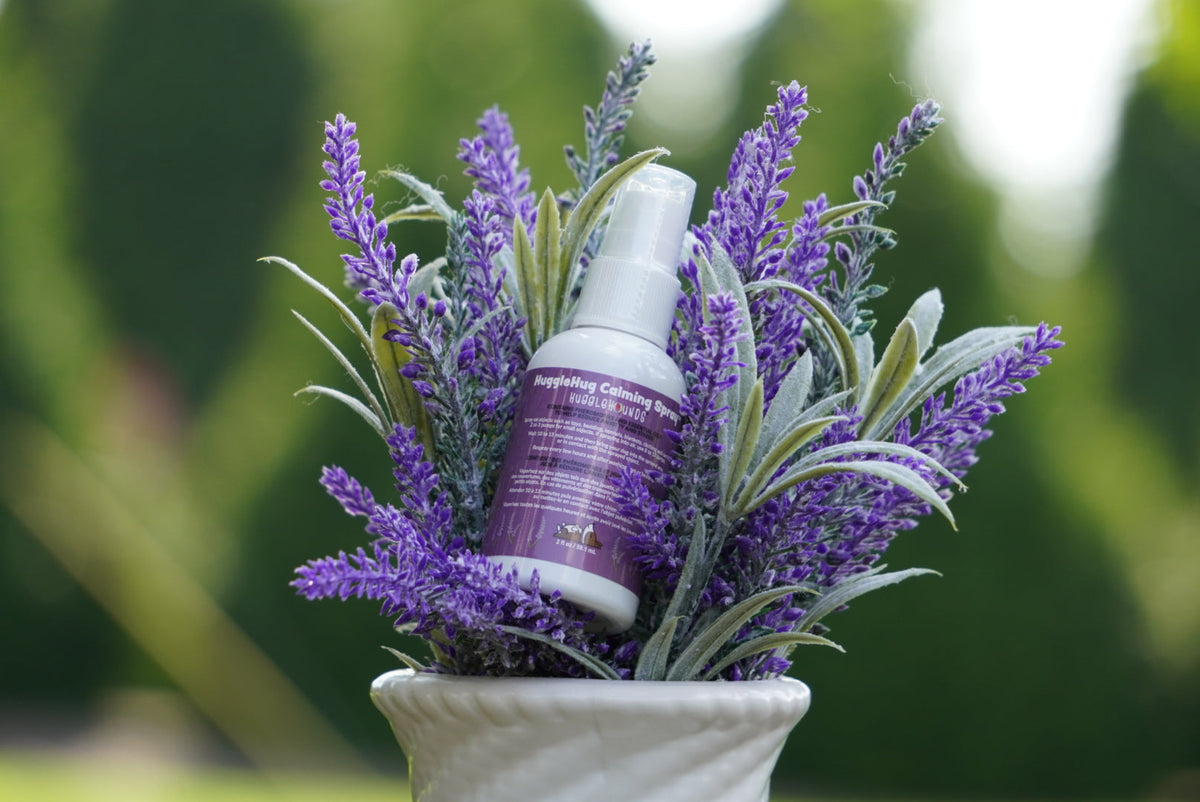 Hueso de Peluche HuggleHug con Spray Calmante de Lavanda – detalle 7 | Pawvora