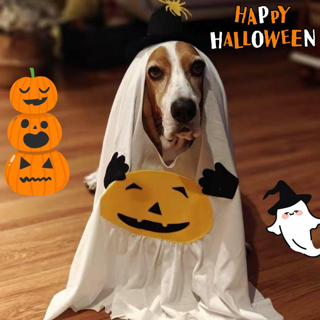 Disfraz de Fantasma con Calabaza para Perros y Gatos – detalle 2 | Pawvora