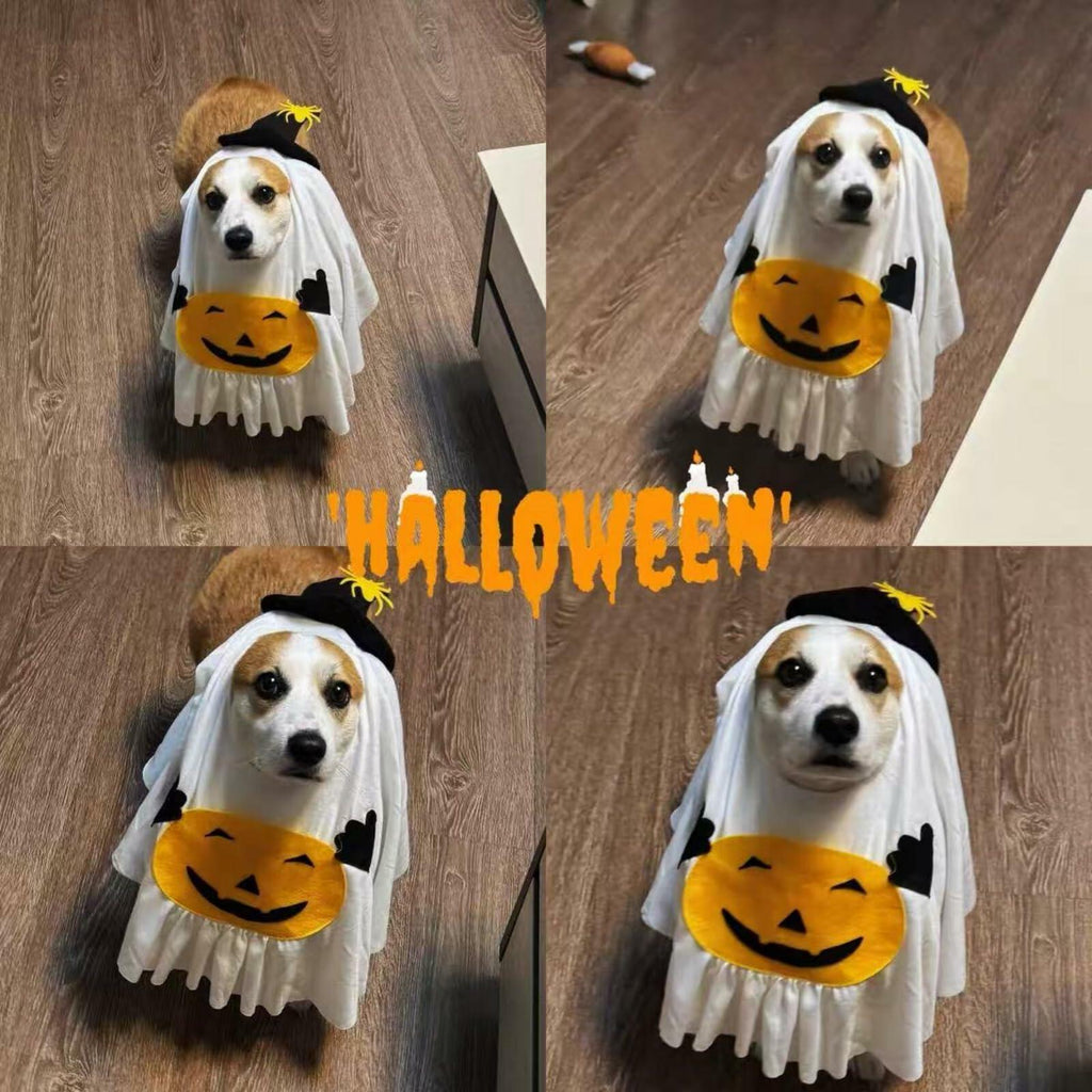 Disfraz de Fantasma con Calabaza para Perros y Gatos – detalle 6 | Pawvora