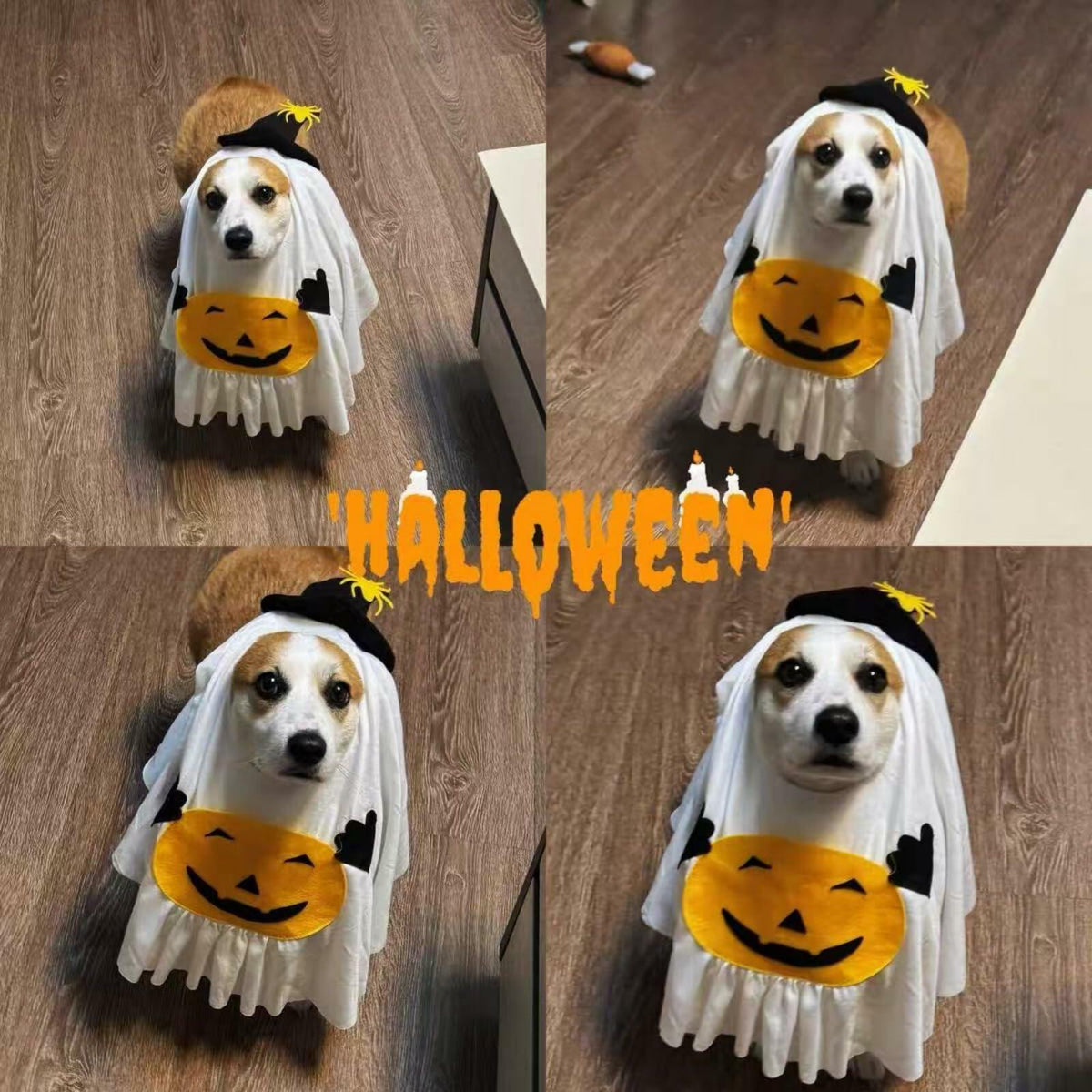 Disfraz de Fantasma con Calabaza para Perros y Gatos – detalle 6 | Pawvora