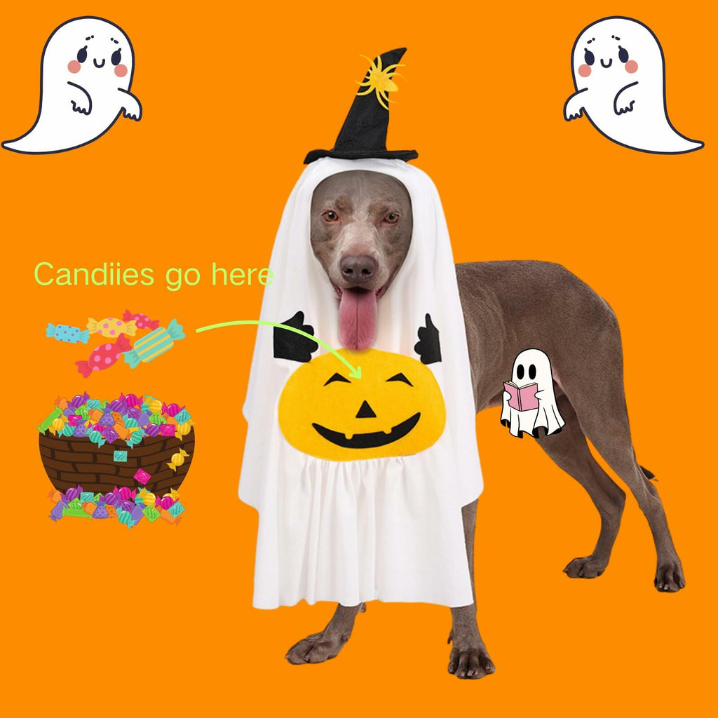 Disfraz de Fantasma con Calabaza para Perros y Gatos – detalle 3 | Pawvora
