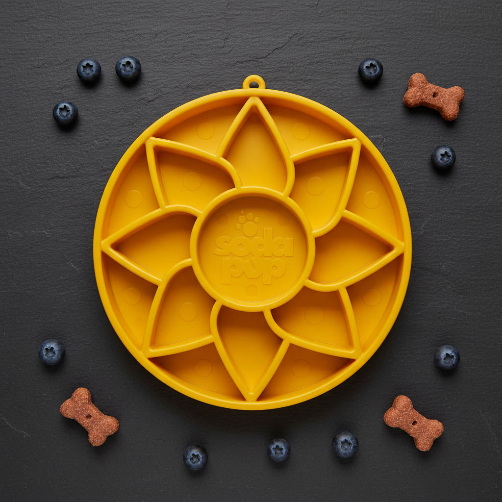 Comedero Lento Girasol para Perros – detalle 3 | Pawvora