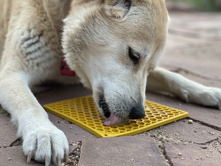 Alfombrilla para Lamer Honeycomb eMat – detalle 10 | Pawvora